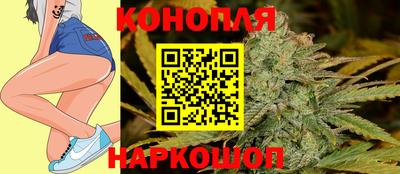 индика Будённовск